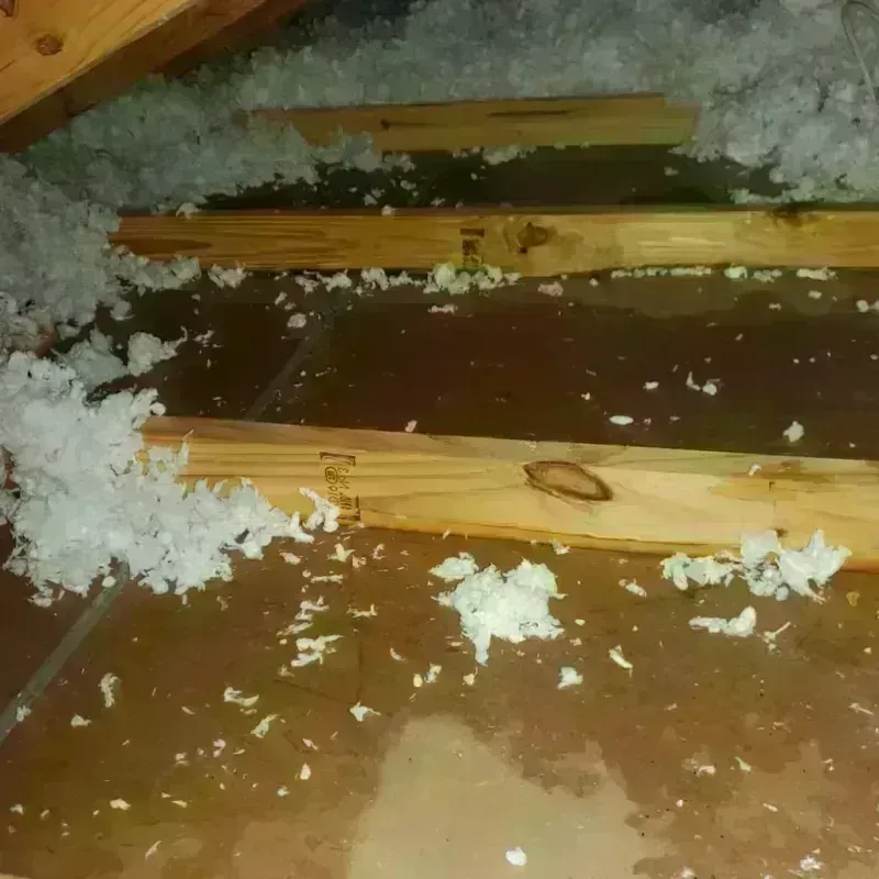 Attic Water Damage in Mound City, MO