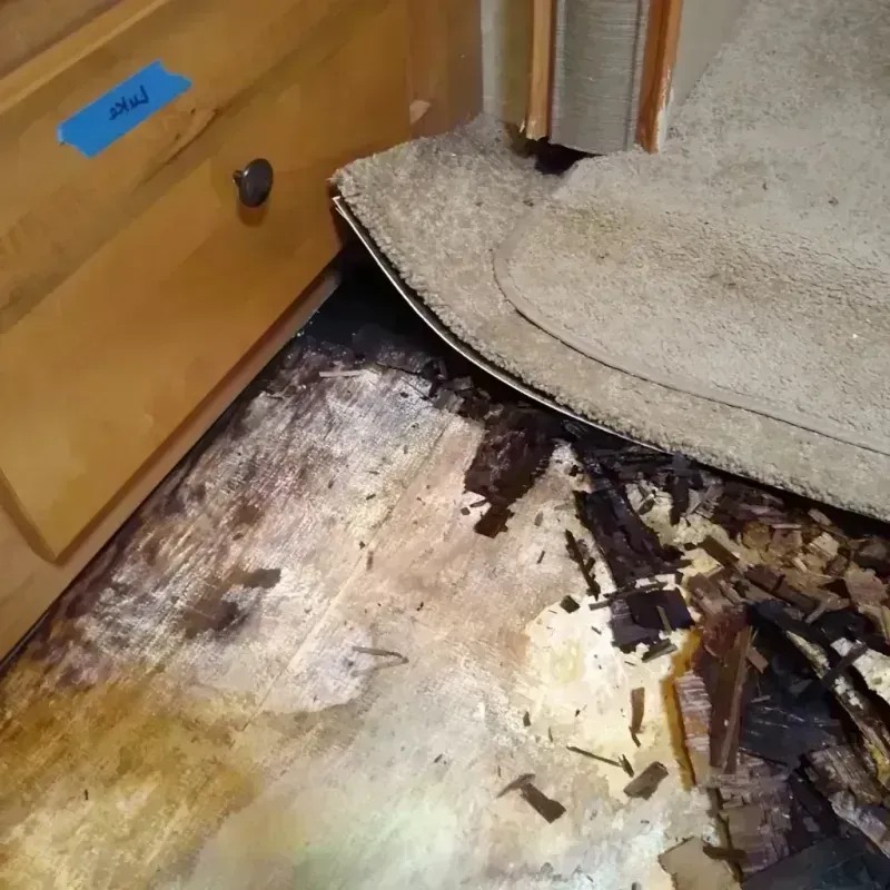 Wood Floor Water Damage in Mound City, MO